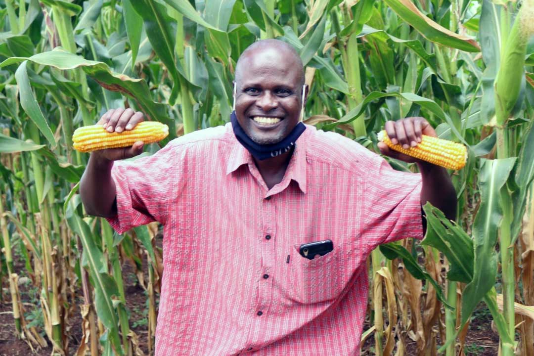 Ali Bikuule, a farmer in Bulondo-Buboka village, Kamuli district in his maize garden.